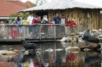 Aqua Zoo Friesland