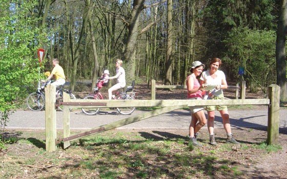 De Sallandse Heuvelrug