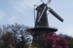 Molen de Valk