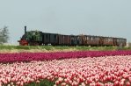 Medemblik
