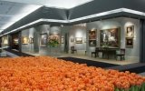 The European Fine Arts Fair 2012