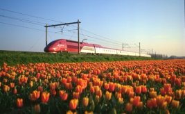 Thalys Comfort 1 starting at just 45 euros