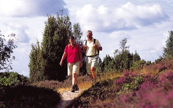 Two people hiking on the Veluwe