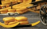 Alkmaar Cheese Market 
