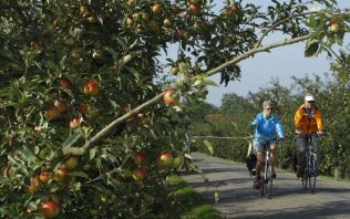 Radtour durch Drenthe: die Fiets 4Daagse Radtour durch Drenthe: die Fiets 4Daagse