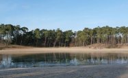 Dutch Nature