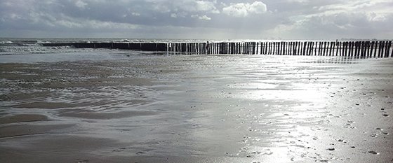 Die niederländische Küste