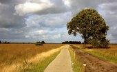 Nationaal Park Dwingelderveld
