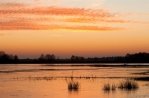 De Maasduinen