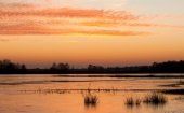 De Maasduinen