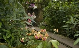 Orchideen Hoeve