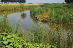 Hoeksche Waard