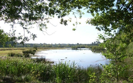 Lake in the dutch countryside