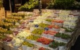 Amsterdam, la città dei fiori e dei giardini nascosti