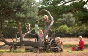 Séjournez chez Landal GreenParks