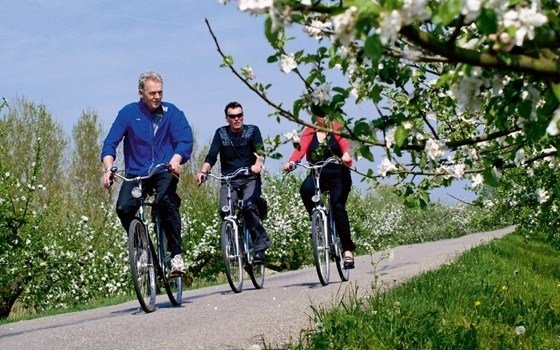 People cycling in springtime near Arnhem