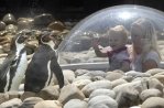 Ouwehands Dierenpark