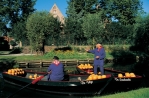Edam