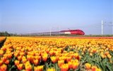 Raggiungere l'Olanda in treno