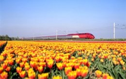 En train