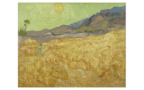 Campo de trigo con segador 