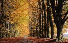 Drenthe