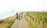 In bici e barca lungo l’Ijsselmeer