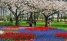 Keukenhof