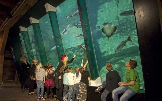 Arsenaal Aquarium