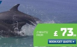 DFDS Wildlife Watching