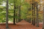 Met een GPS door de bossen wandelen