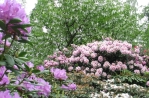 Arboretum Notoarestoen