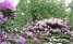 Arboretum Notoarestoen