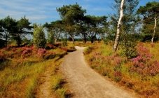 Activiteiten Natuurmonumenten