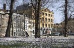 Hotel Des Indes