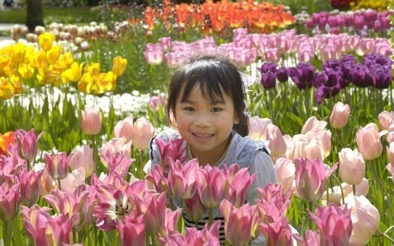 Keukenhof Flowers 
