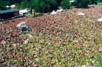 Parkpop, Гаага