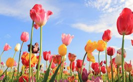 Top 10 things to do in Spring Top 10 things to do in Spring