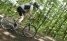 Fuga in bicicletta