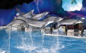 El Dolfinarium