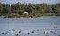 Vinkeveense Plassen
