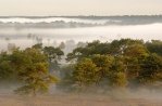 De Zoom-Kalmthoutse Heide