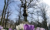 Улица Денневег («Сосновая дорога»)