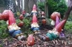 Kabouters in Nederland