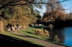 Hortus Botanicus