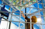 Science Centre Delft