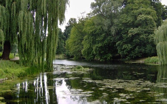 Rijsterborgher park in Deventer