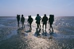 Mud Flat Walks