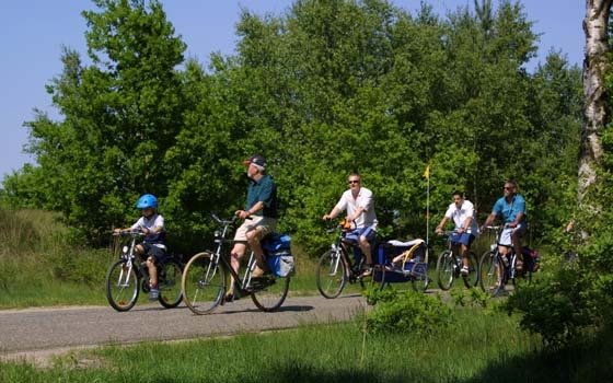 People cycling through limburg