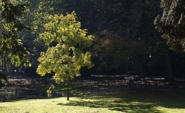 Park Clingendael 